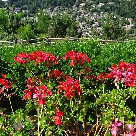 Alpehytte Chalet Montagnard